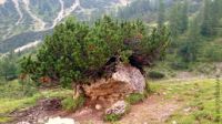 2015-08-11_Lamsenjoch (135)a.JPG